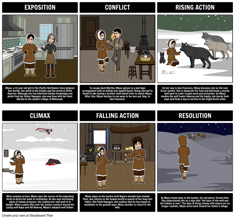 Julie of the Wolves Lesson Plans Summary, Setting, & Characters