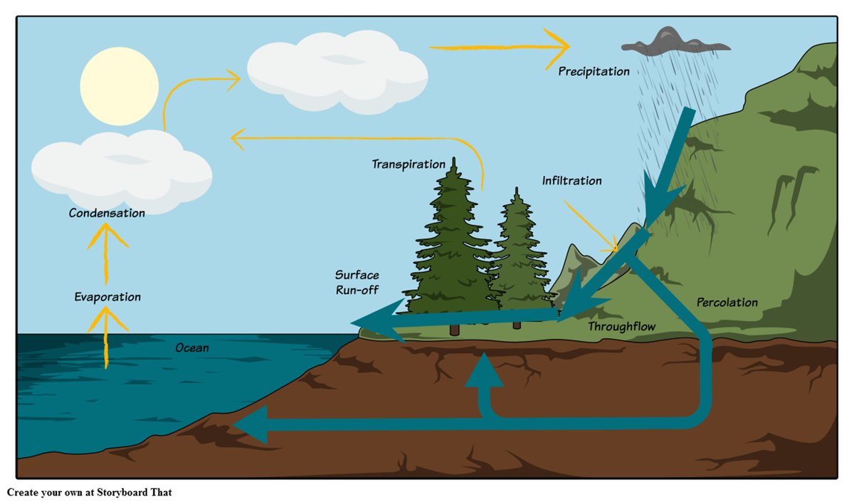 The Water Cycle Diagram Storyboard av oliversmith