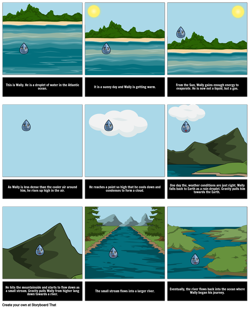The Water Cycle Diagram Steps, Pictures & Activities