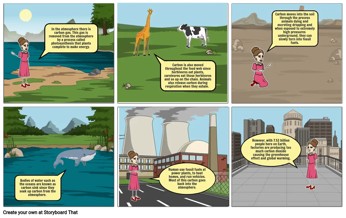 CARBON CYCLE