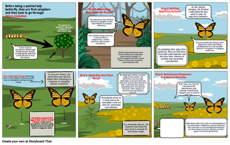 Painted Lady Buterflies