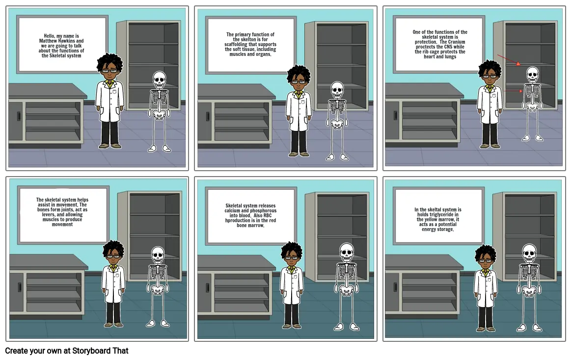 Anatomy comic strip Storyboard by 07d70668