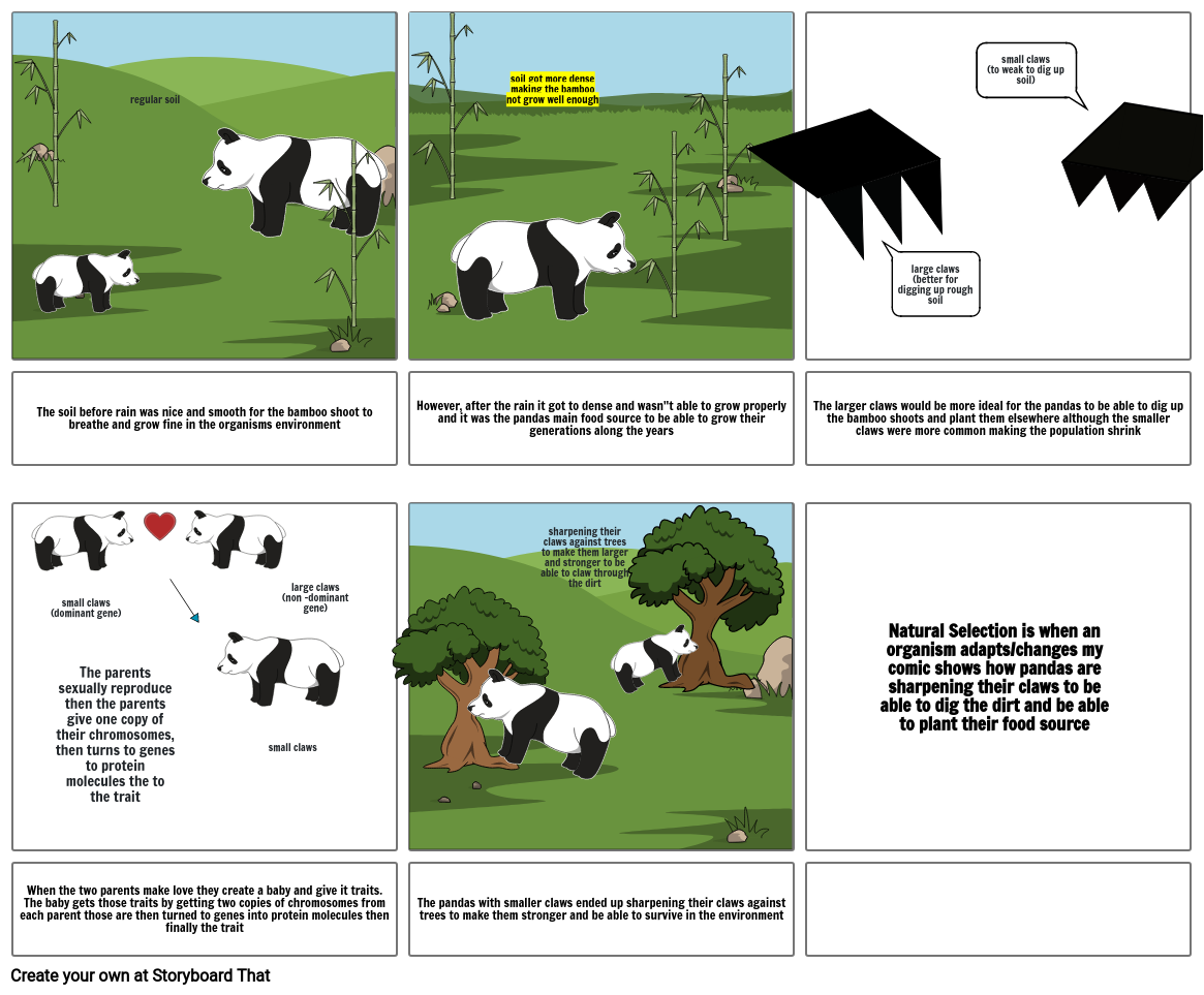 pandas-storyboard-by-08ff8546