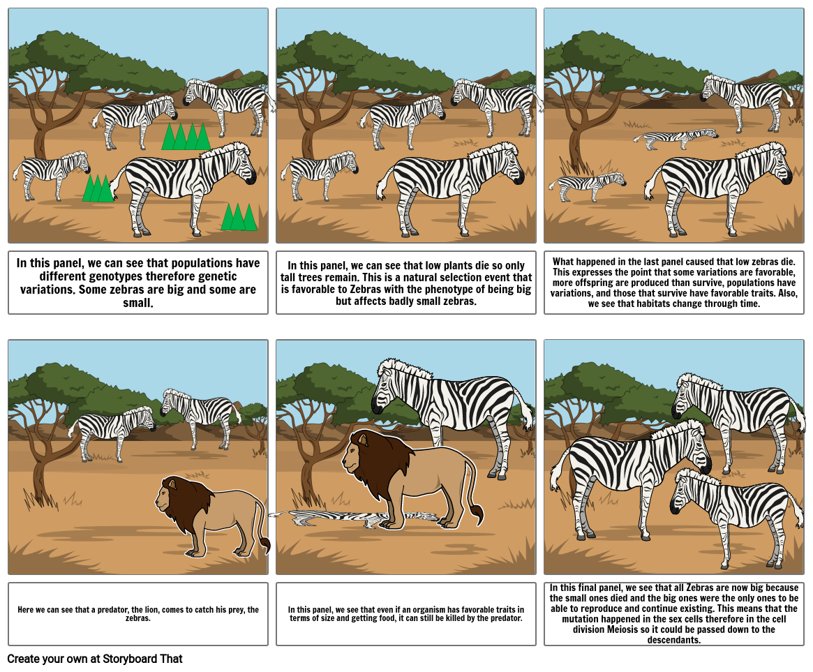 Comic based on Neo-Darwinism Evolution Theory