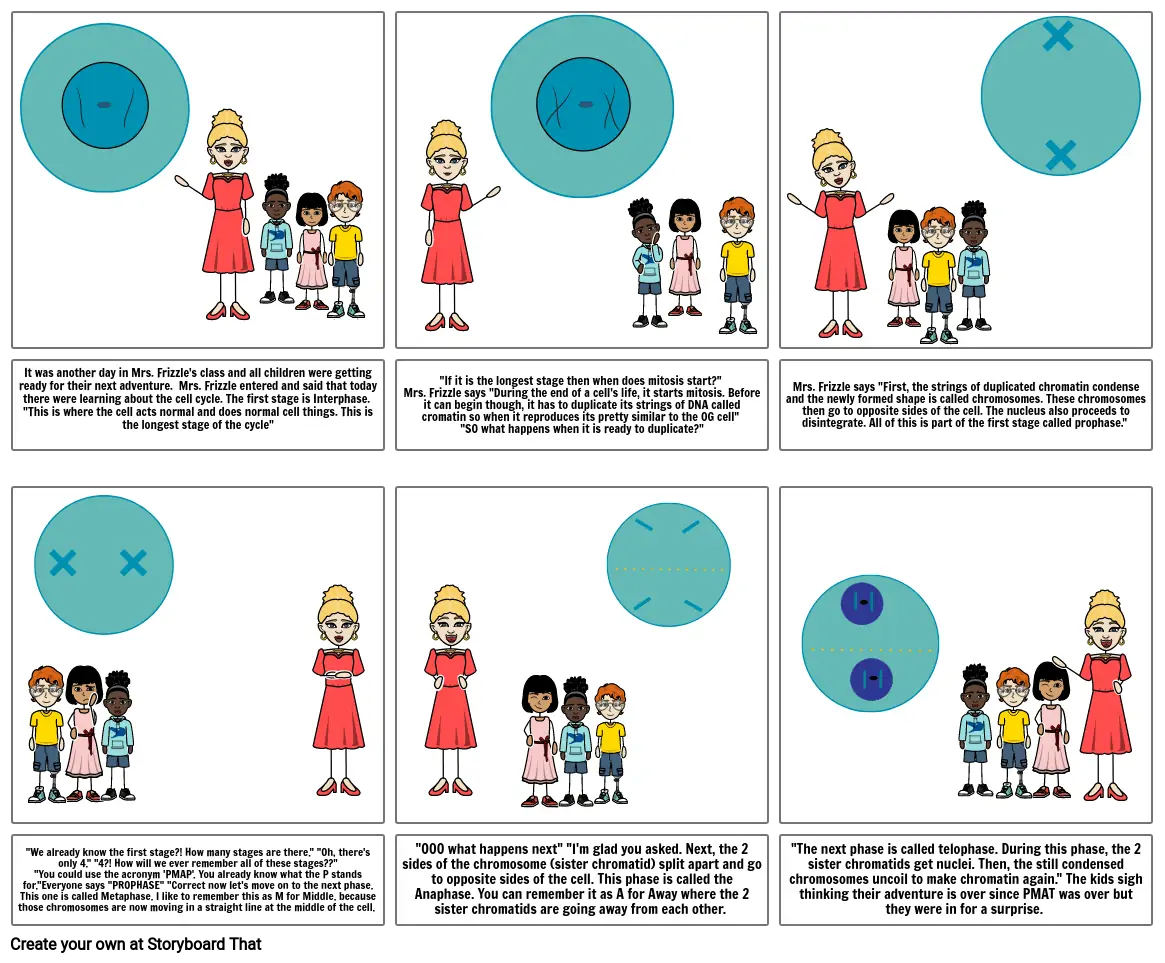 Mitosis Board 1