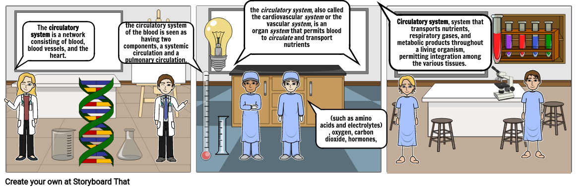 circulatory system Storyboard by 10165fbc