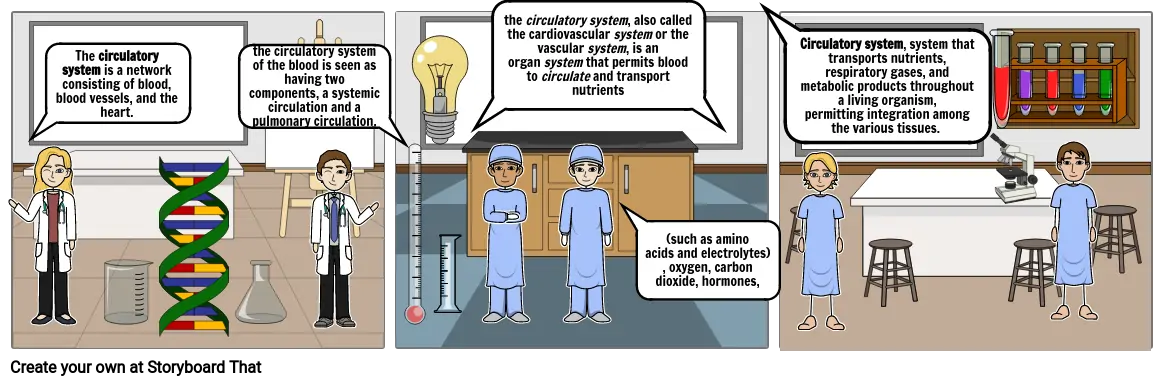 circulatory system Storyboard by 10165fbc