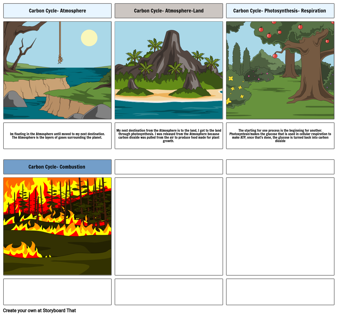 Carbon Cycle