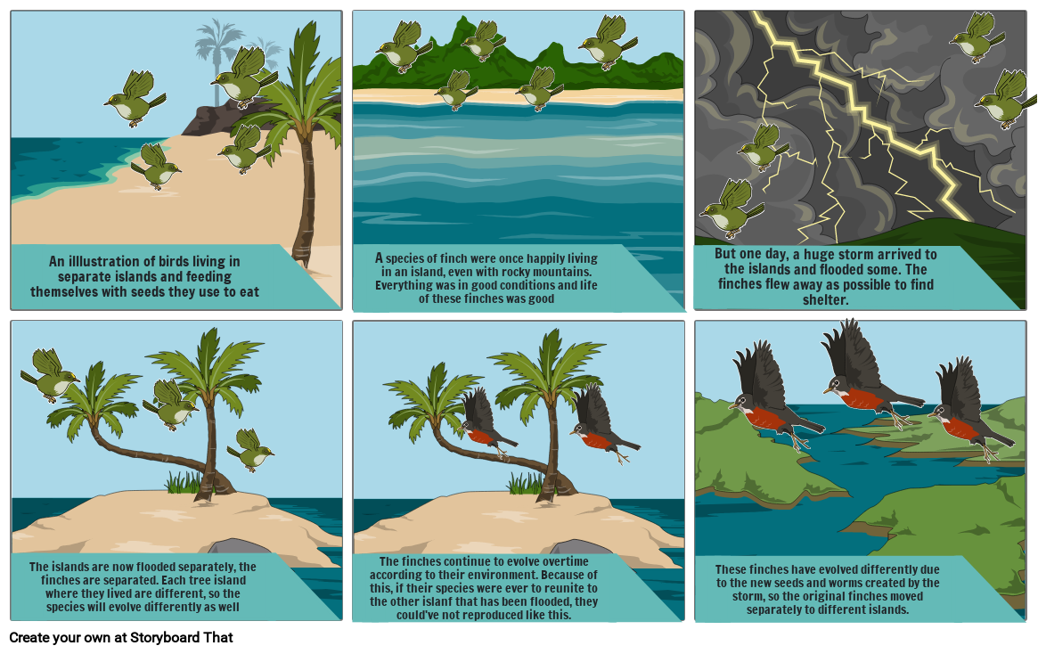 Finches Speciation