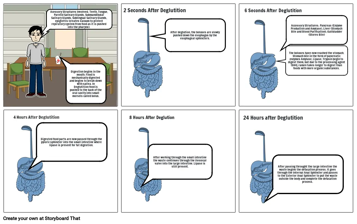 3.2.2 Digestive Comic Strip