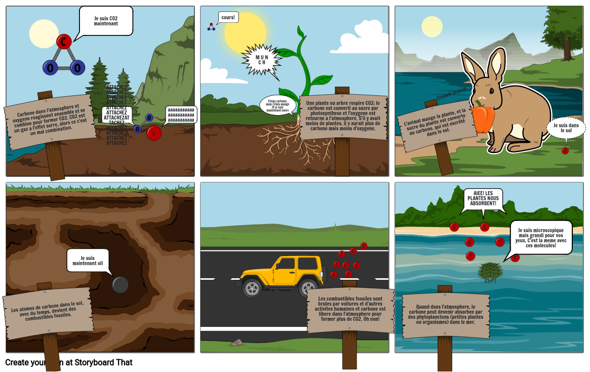 Science project - carbon cycle Storyboard by 14cc0a95