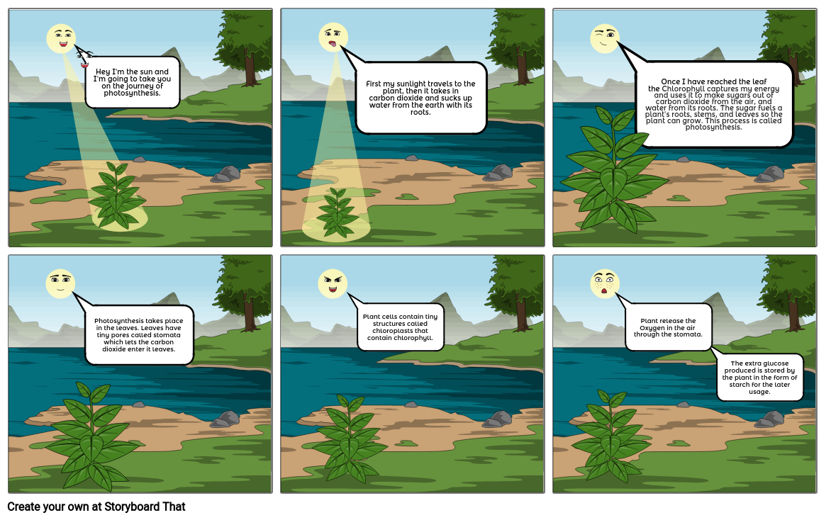 photosynthesis-comic-strip-storyboard-by-14d734cb