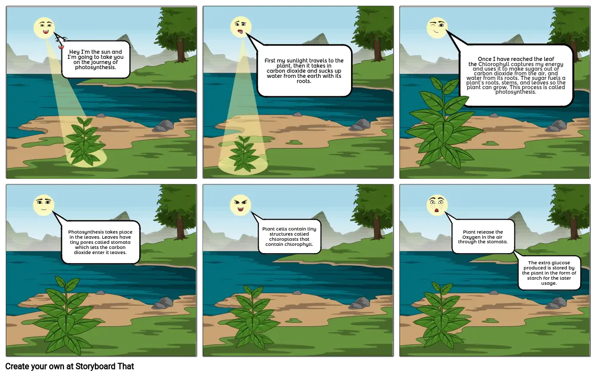 photosynthesis Comic Strip