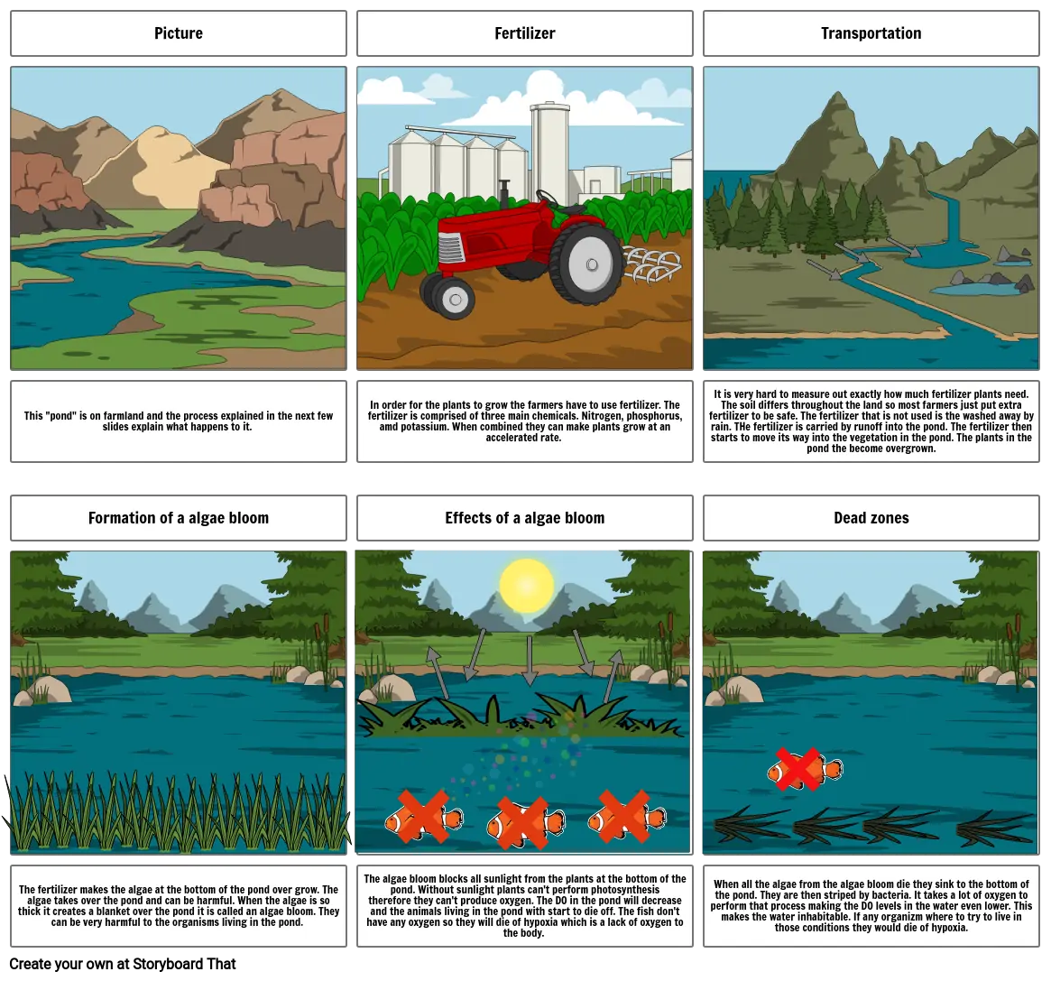 Eutrophication Storyboard