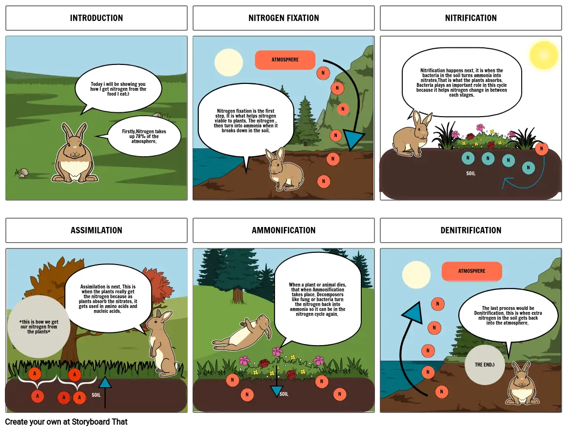 storyboard on Nitrogen cycle done by Nikhil Sai Srinivas class 9-C