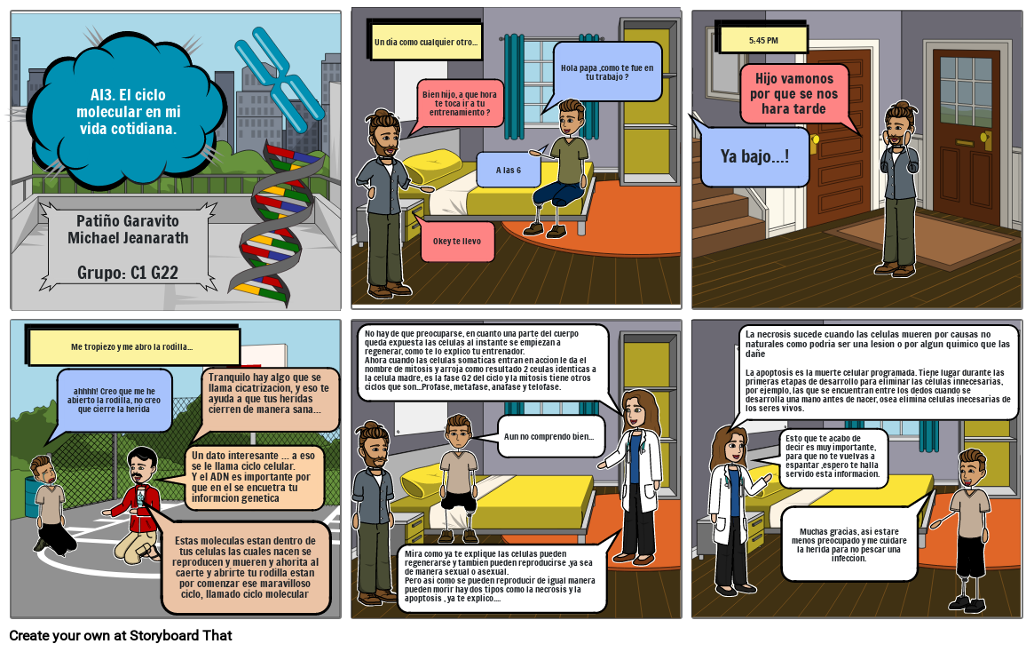 Ciclo Celular En La Vida Cotidiana Storyboard By 1740b485