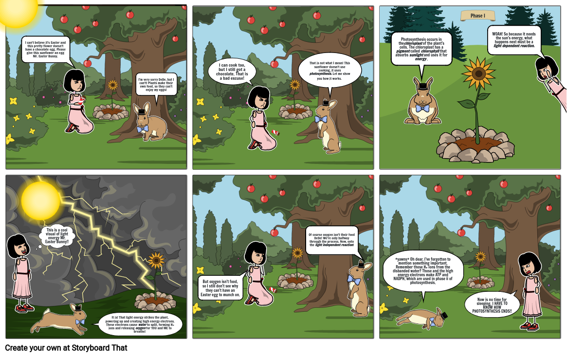 Photosynthesis Comic Storyboard by 177ba1fb