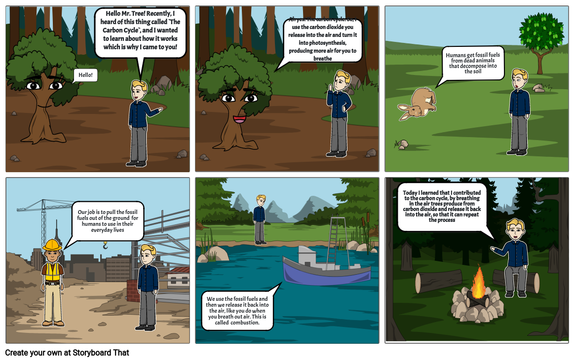 Carbon Cycle Storyboard By 17c909a1