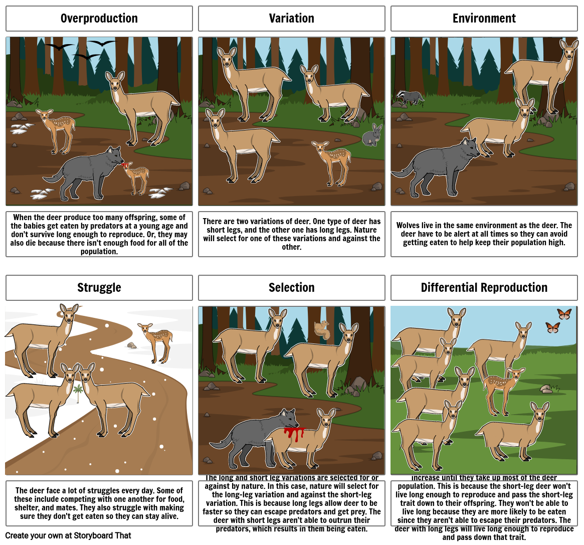 natural-selection-storyboard-by-1815954a