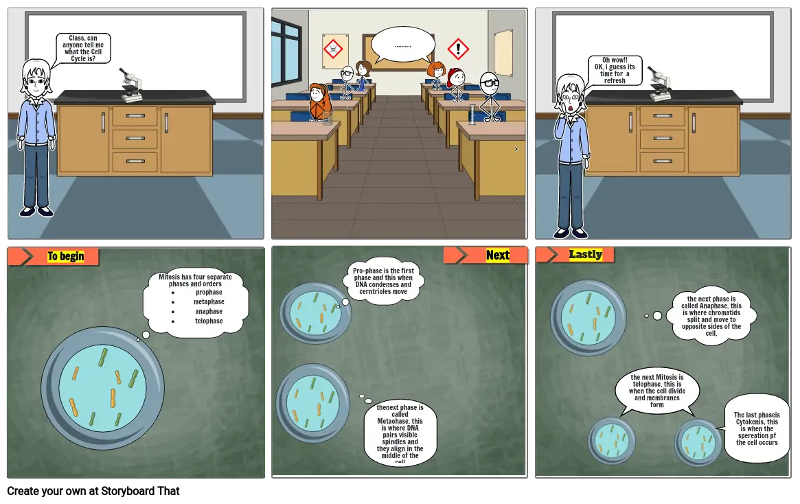 The Cell Cycle