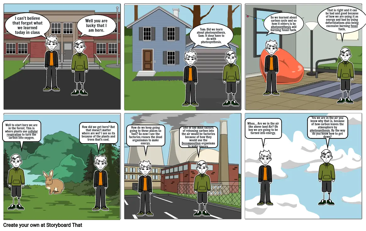 Nutrient Cycle Comic Assessment-Andy Lor