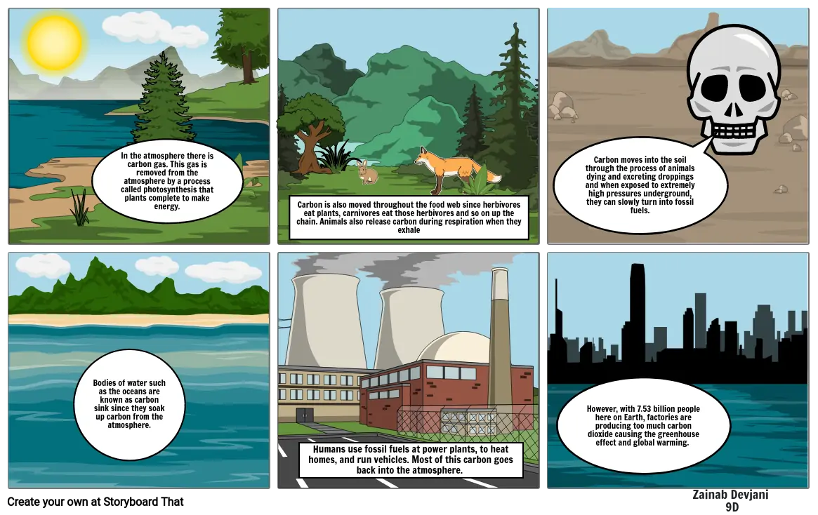 Carbon Cycle