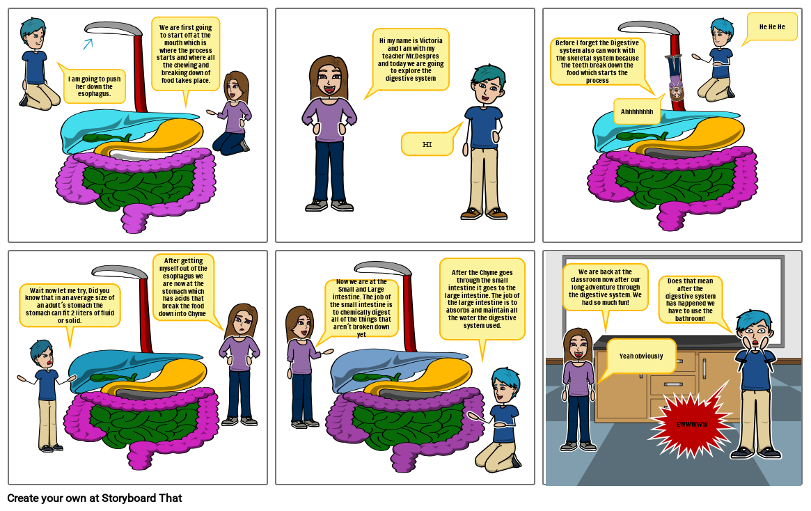 discovering the digestive system Storyboard por 1b2a9234