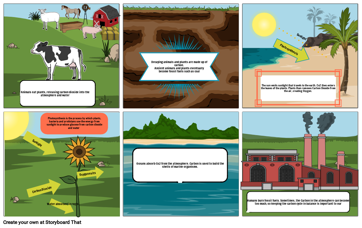 Carbon Cycle Comin Strip