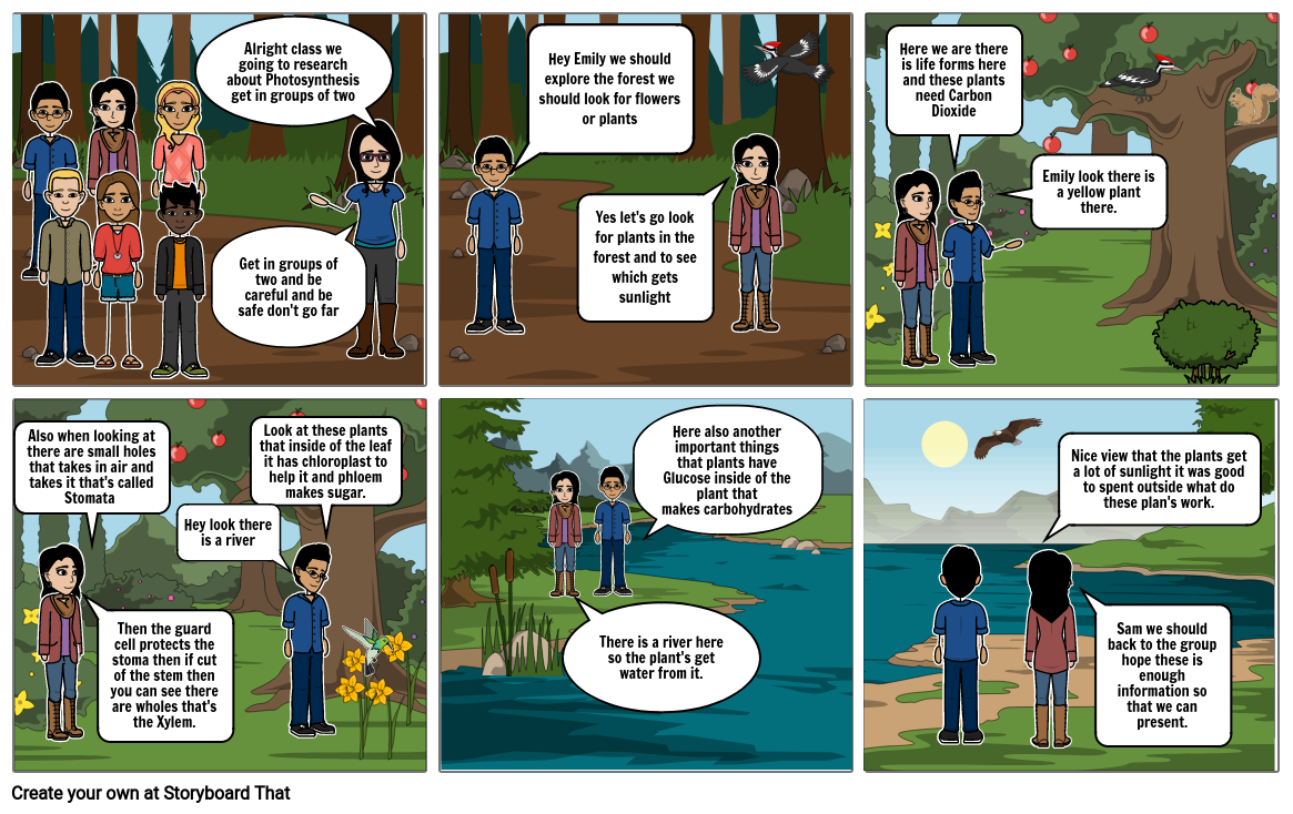 Photosynthesis Comic Strip Storyboard by 1c63a27f