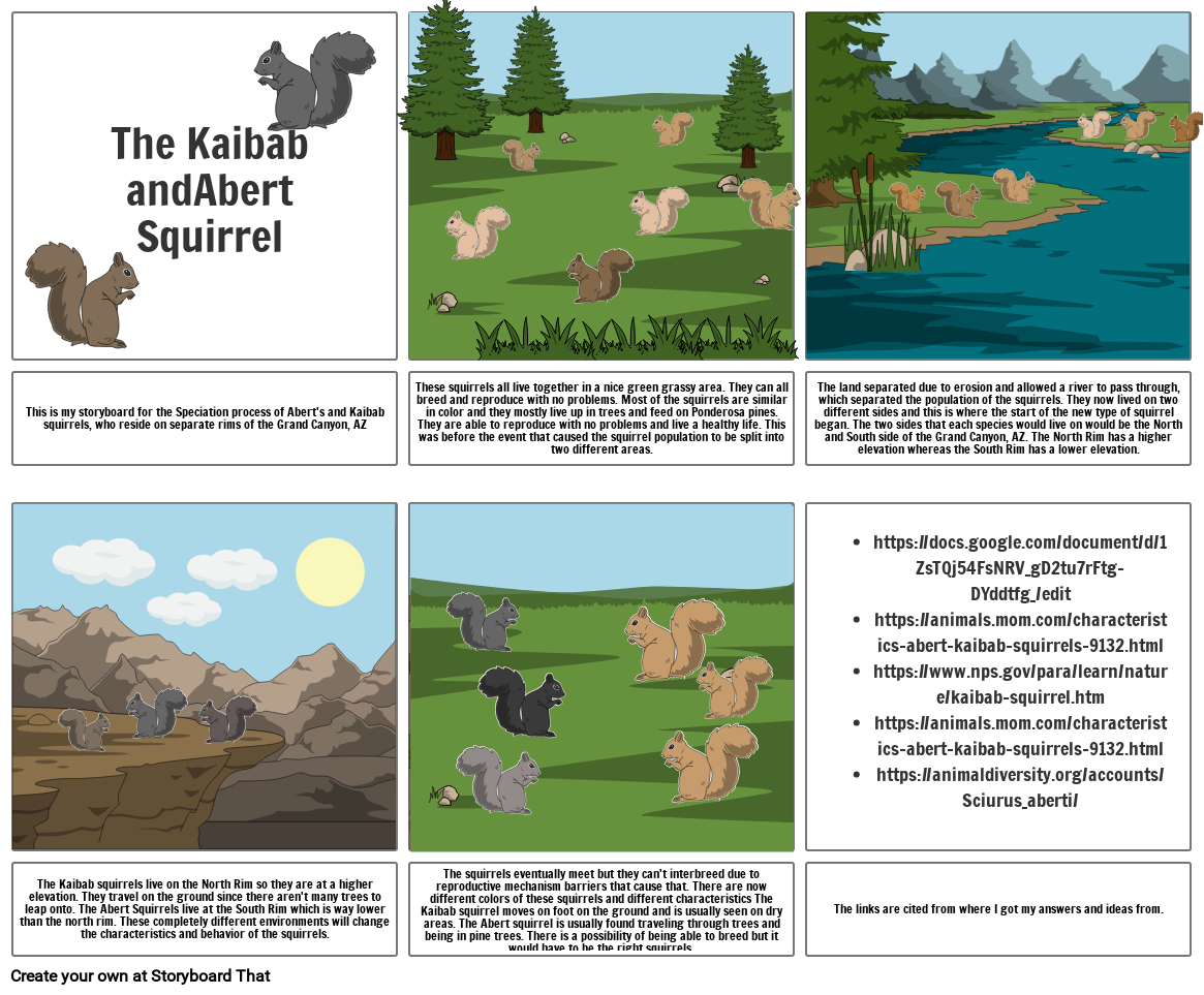 Kaibab & Abert Squirrel Storyboard by 1d1b145c