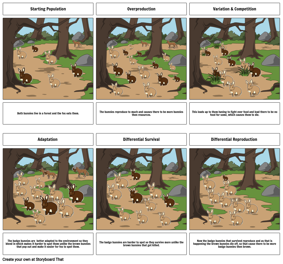 Natural selection Storyboard by 1ebc3542