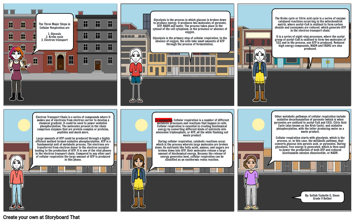 Cellular Respiration