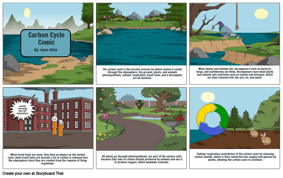 Carbon Cycle Comic By: Joyes Attia Storyboard by 1f184ae7