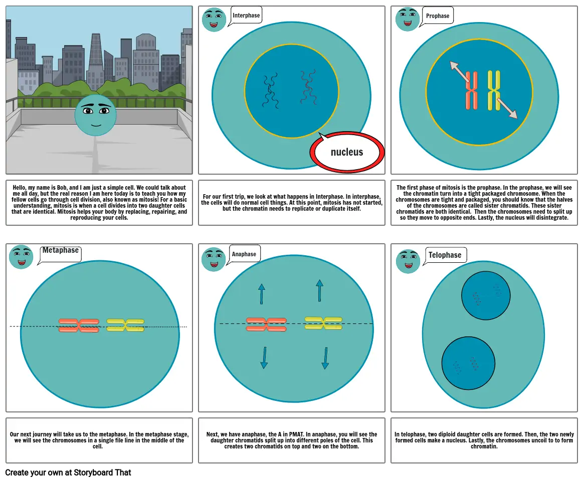 Mitosis Project