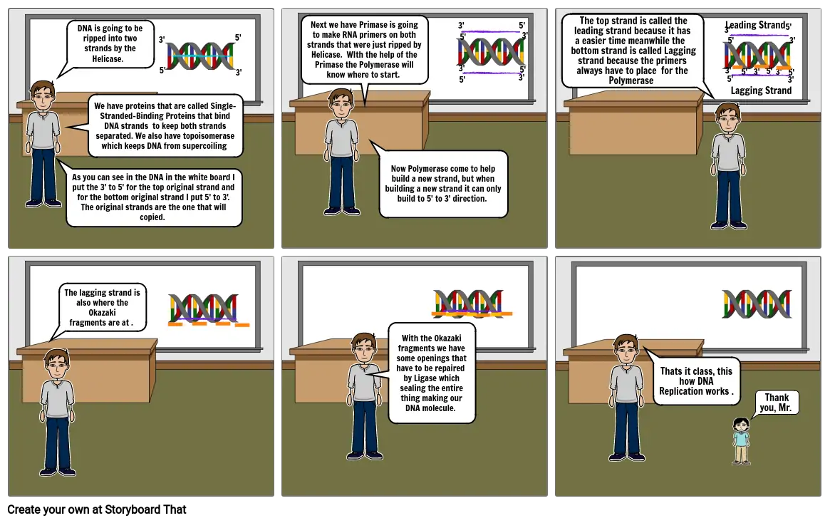 DNA Replication Project Part:2