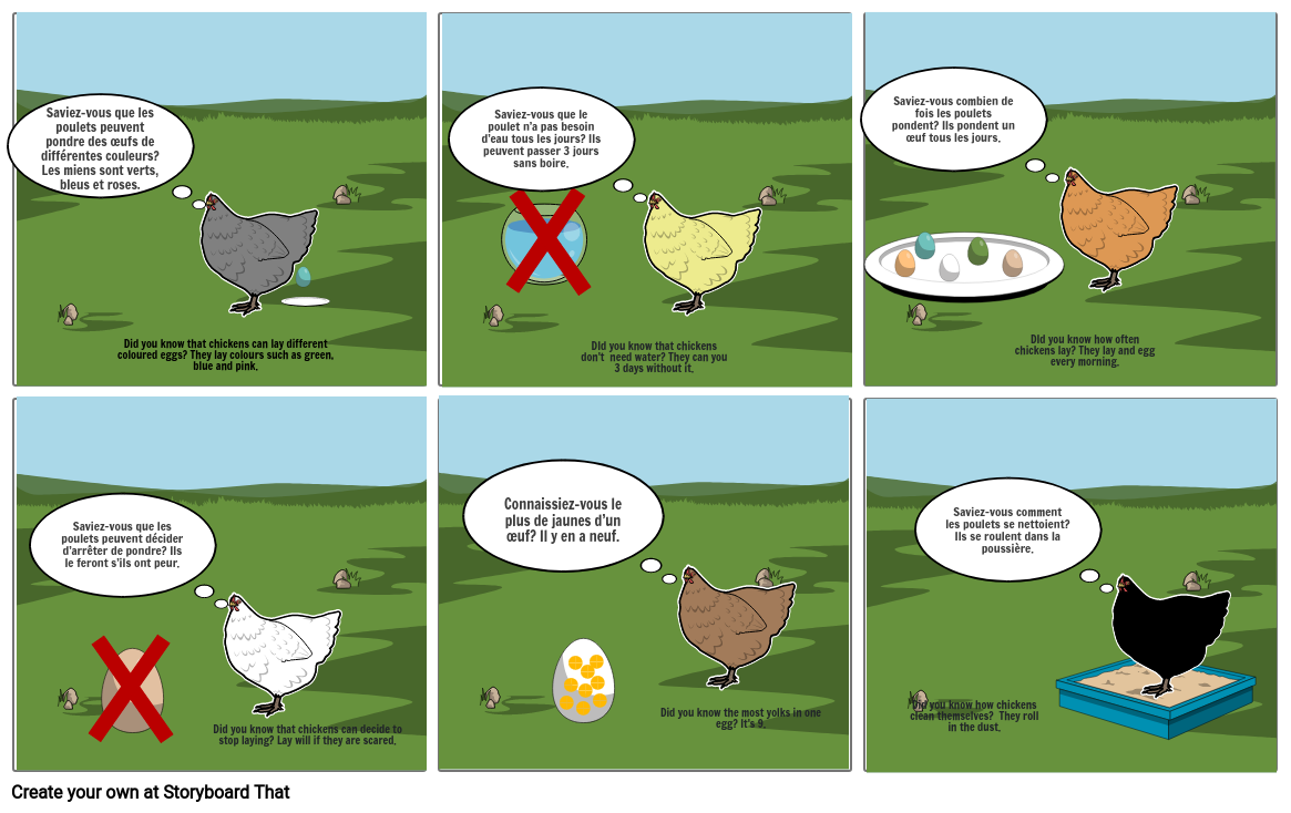 Facts About Chickens Storyboard Por 1fc39428