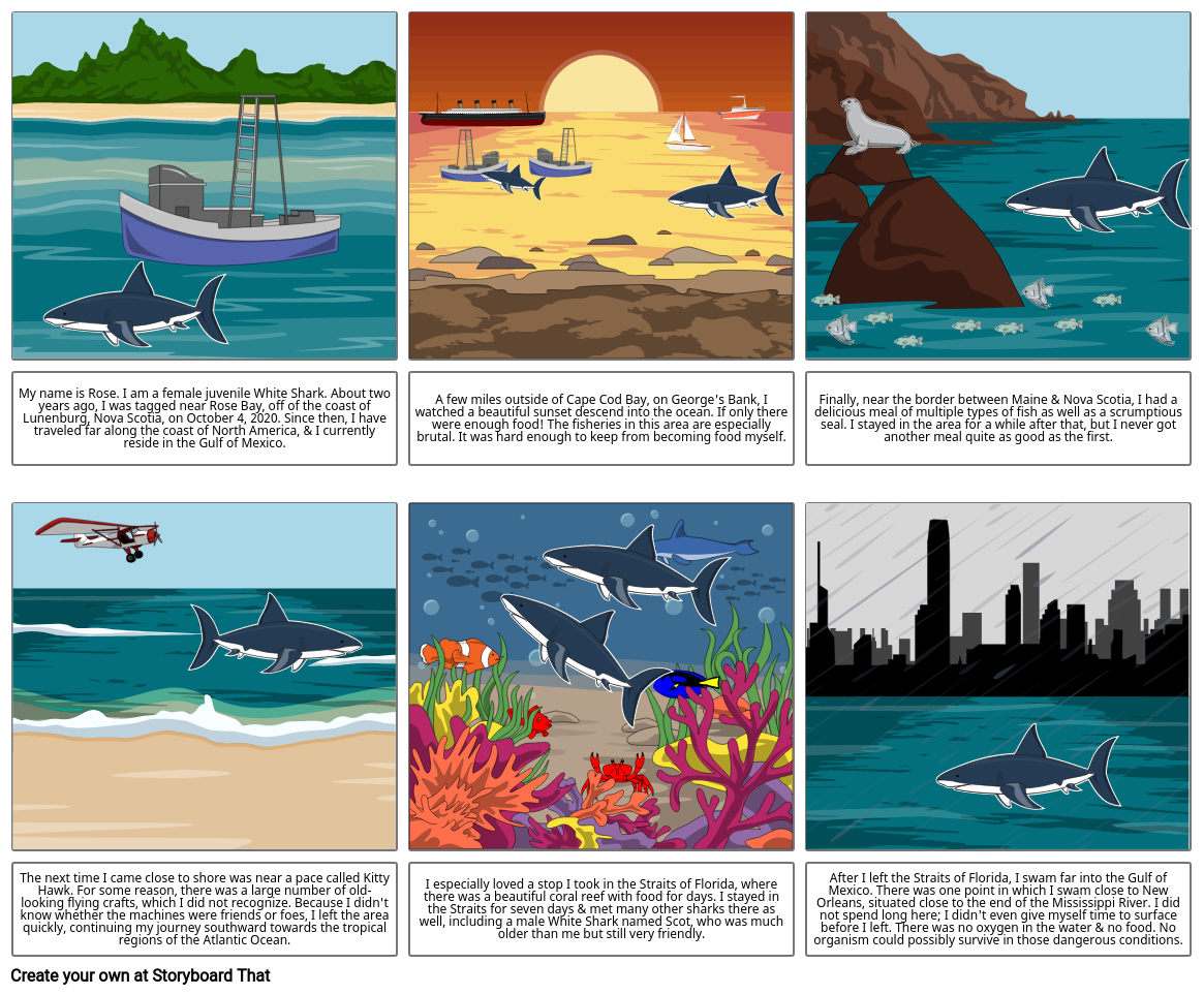 Shark Storyboard Storyboard by 202c5540