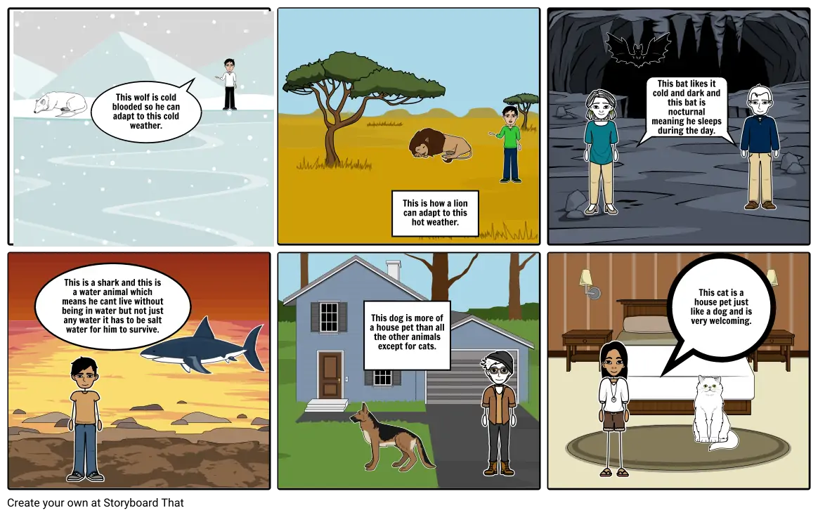 adaptation storyboard