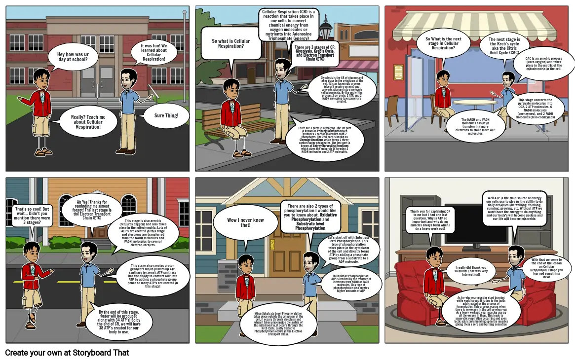 Cellular Respiration Storyboard