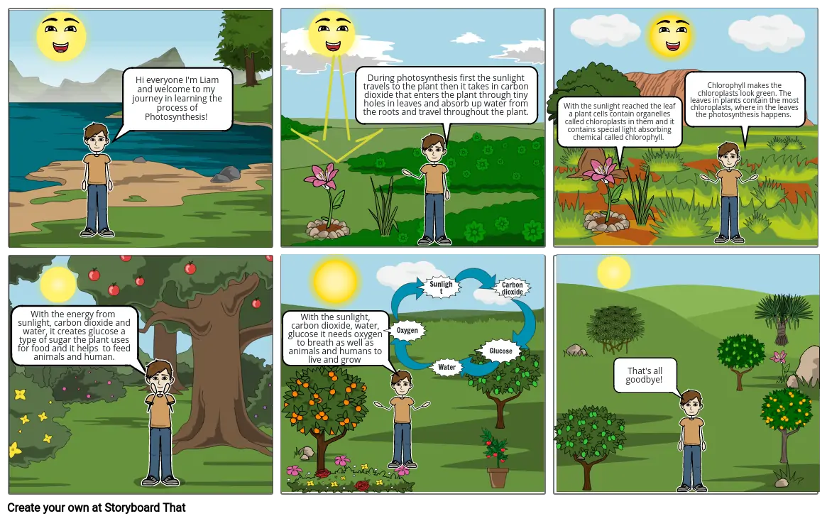 My Photosynthesis Comic Strip