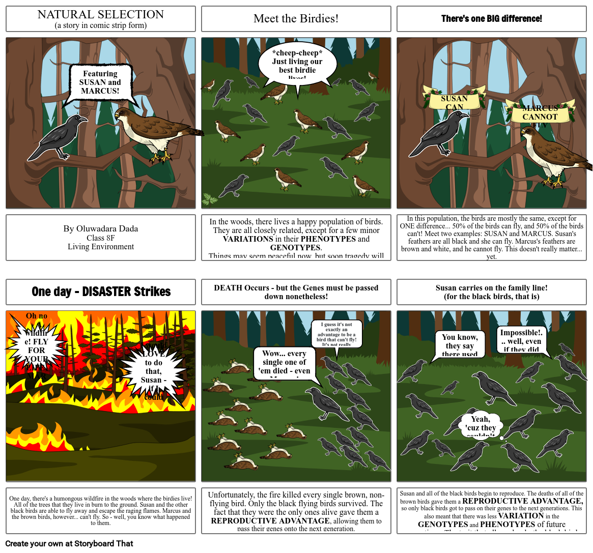 Natural Selection Storyboard Selection Pressure Natural Selection, HD