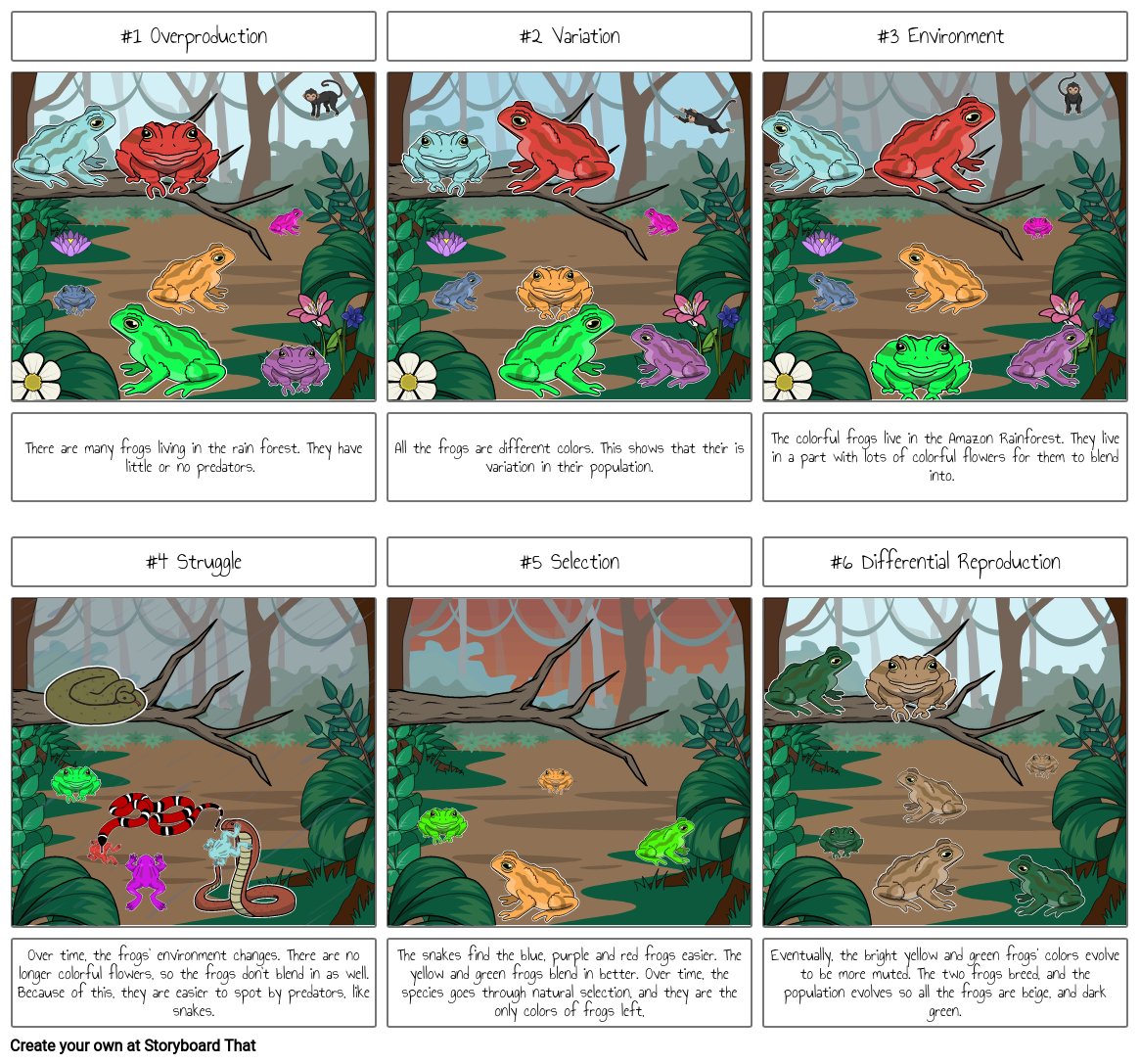 Science Natural Selection Project Storyboard by 240568e1