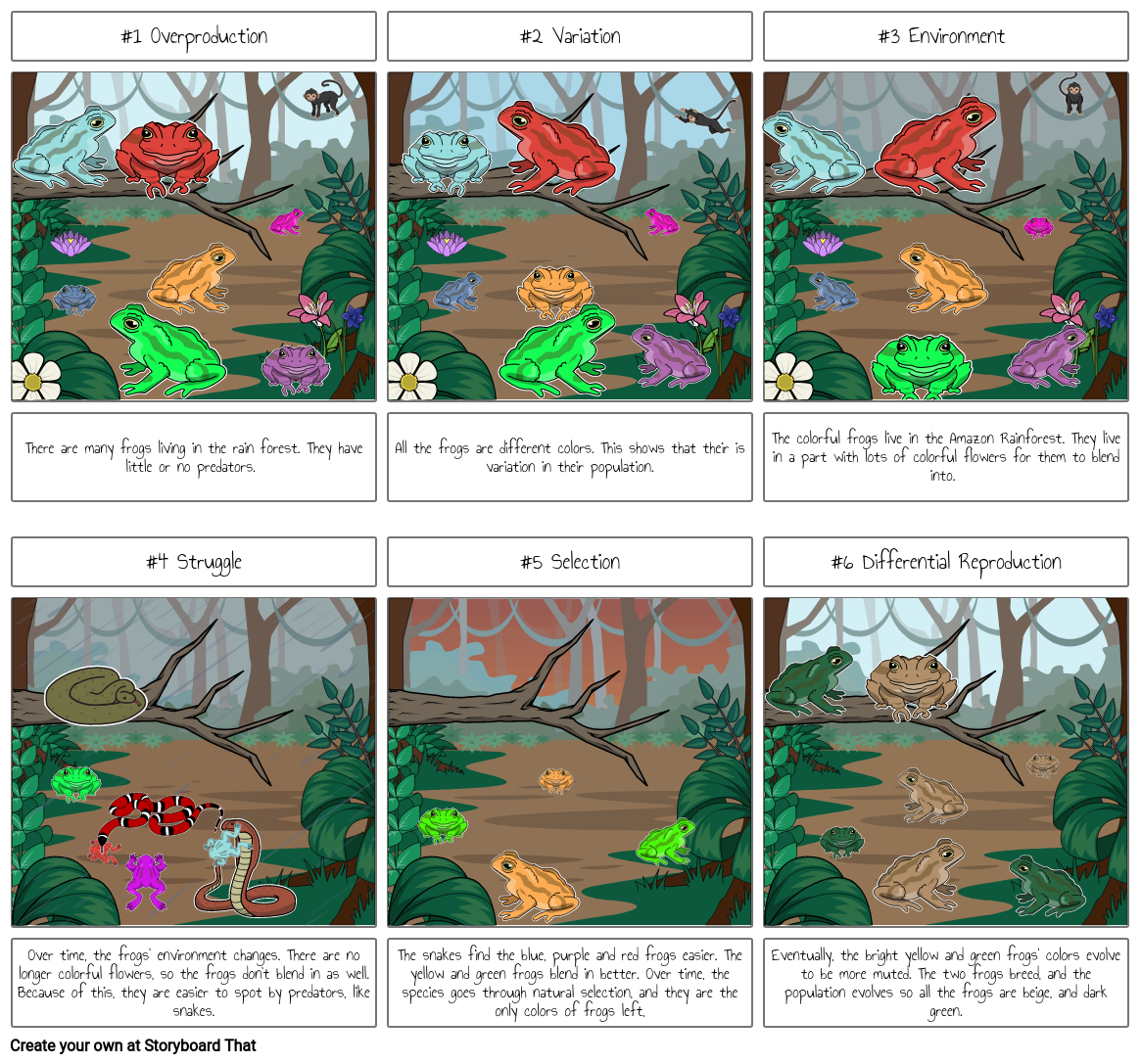 Science Natural Selection Project Storyboard By 240568e1