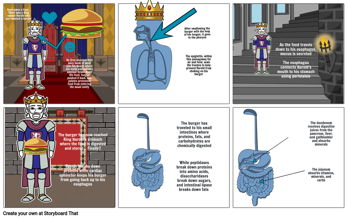 Digestive System