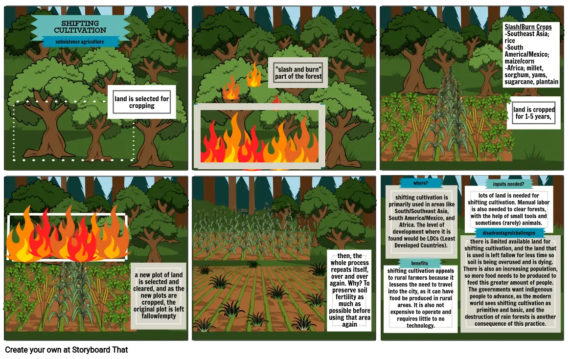 Rice Terracing - APHUG Agriculture Storyboard