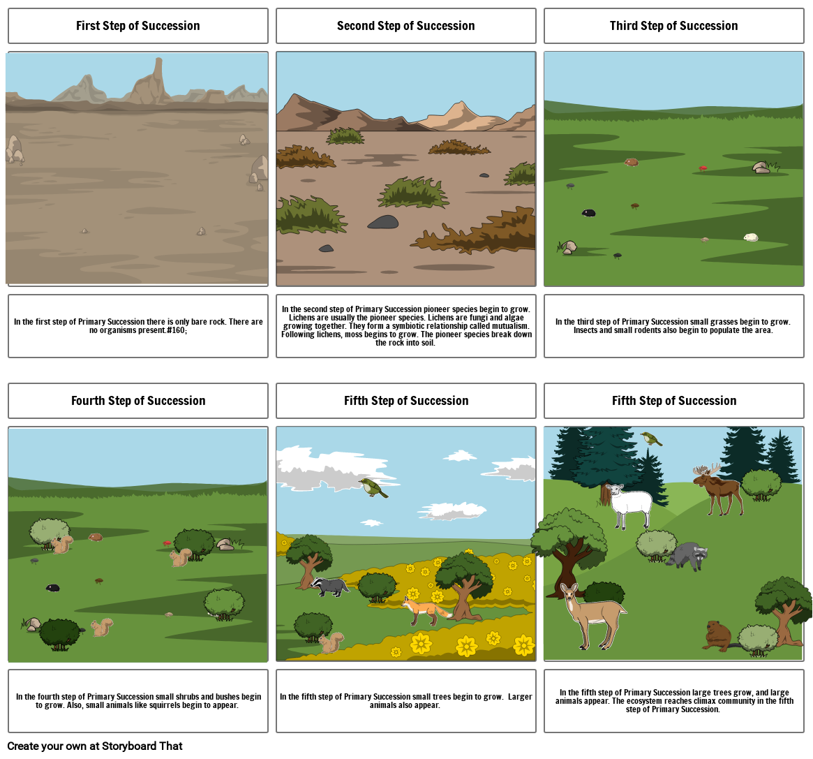 Succession Storyboard By 2af51631