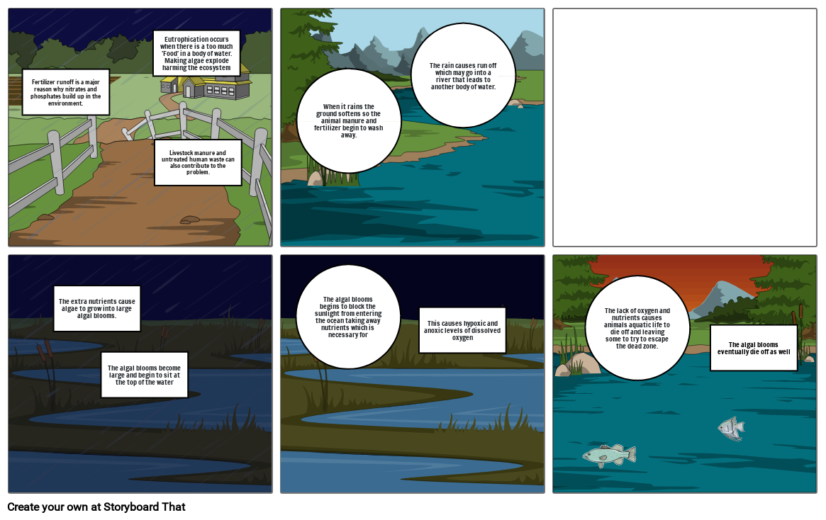 Eutrophication Storyboard by 2bf40015