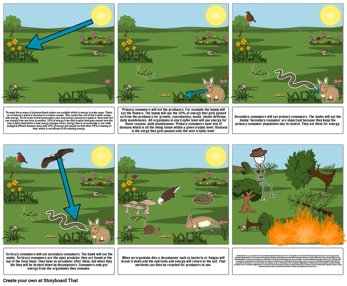 Gold Level Extension Activity Unit 3