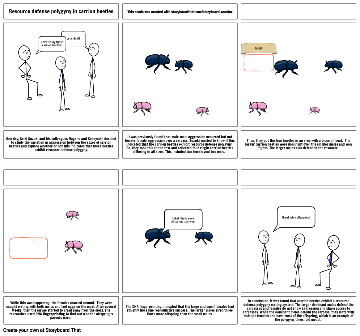 Carrion beetles Storyboard par 2cf35f27