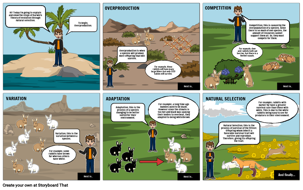 Natural Selection Example Storyboard by 2df3cf90